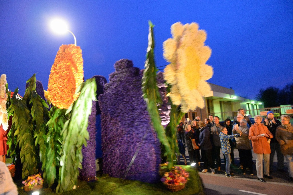 ../Images/Bloemencorso Noordwijkerhout 220.jpg